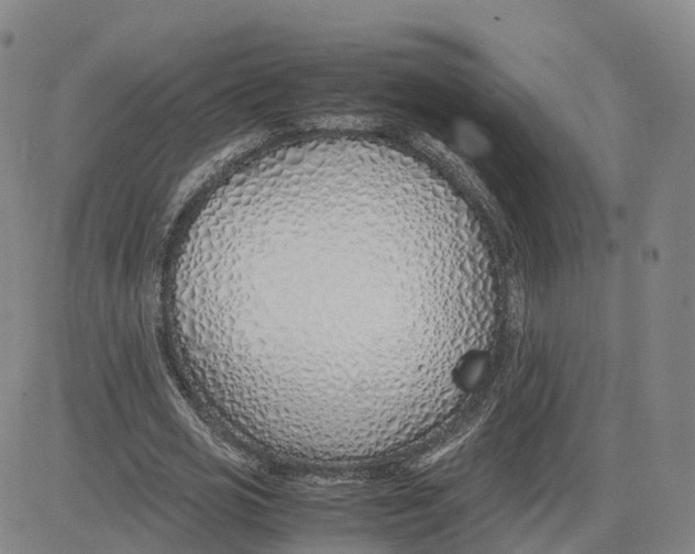 X0000083010725200702231811