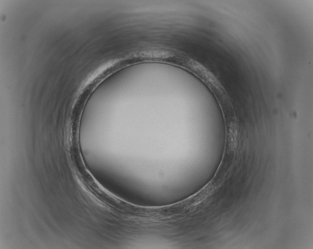 X0000083010726200702231811