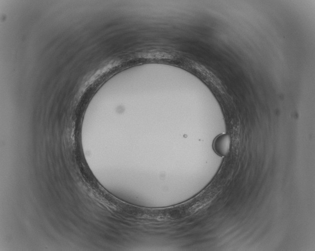 X0000083010727200702231811