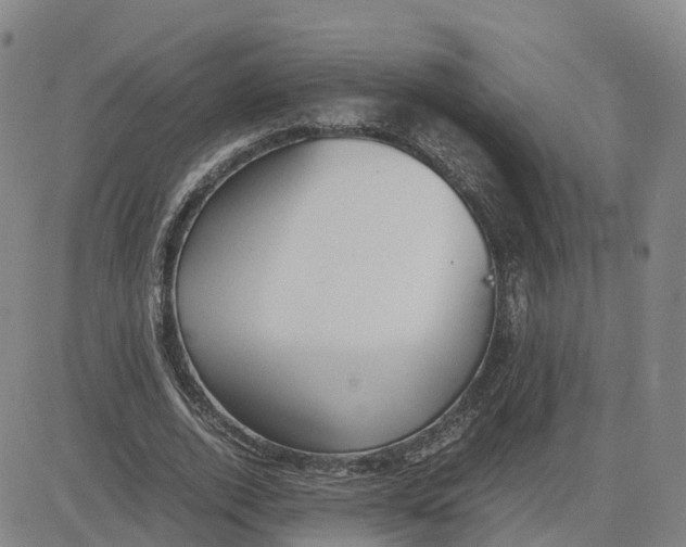 X0000083010728200702231811