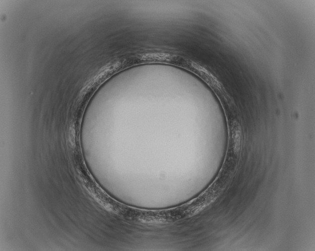 X0000083010729200702231811