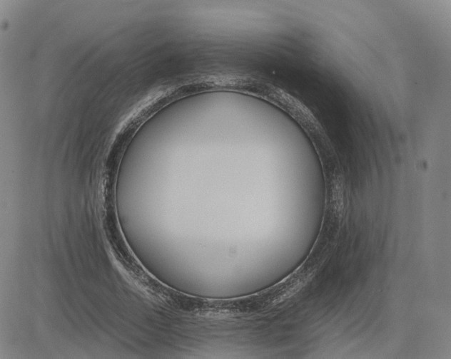 X0000083010730200702231811