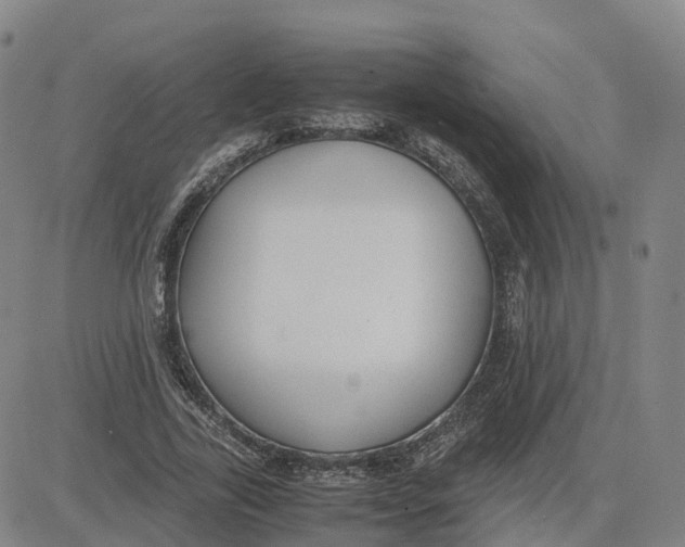 X0000083010731200702231811