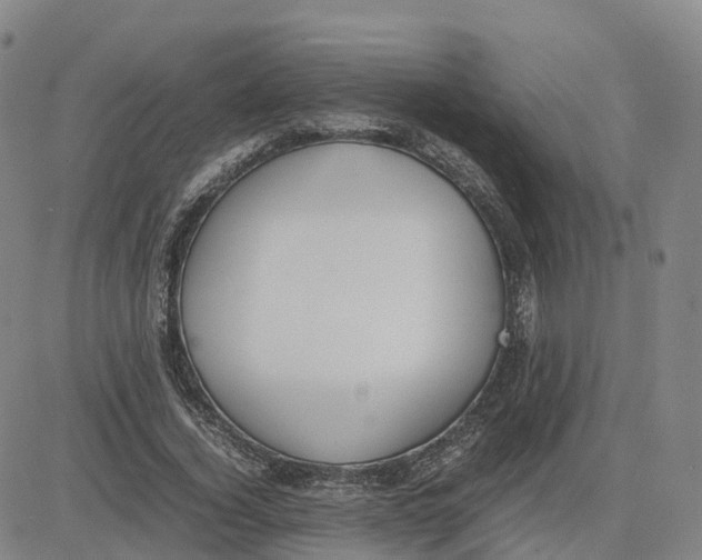 X0000083010732200702231812