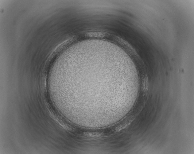 X0000083010733200702231812