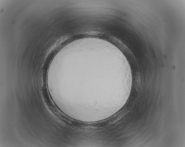 X0000083010734200702231812