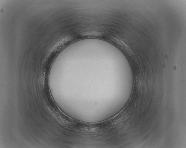 X0000083010735200702231812