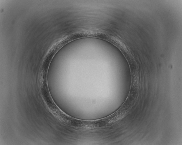 X0000083010736200702231812