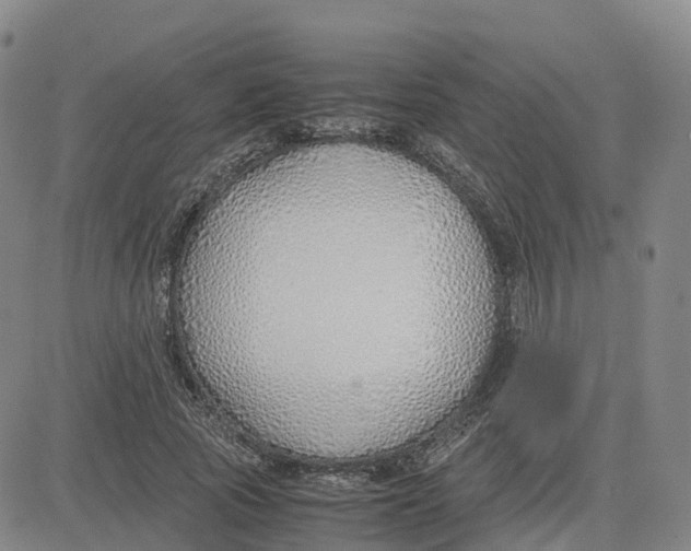 X0000083010737200702231812