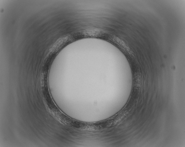 X0000083010738200702231812