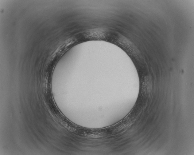 X0000083010739200702231812