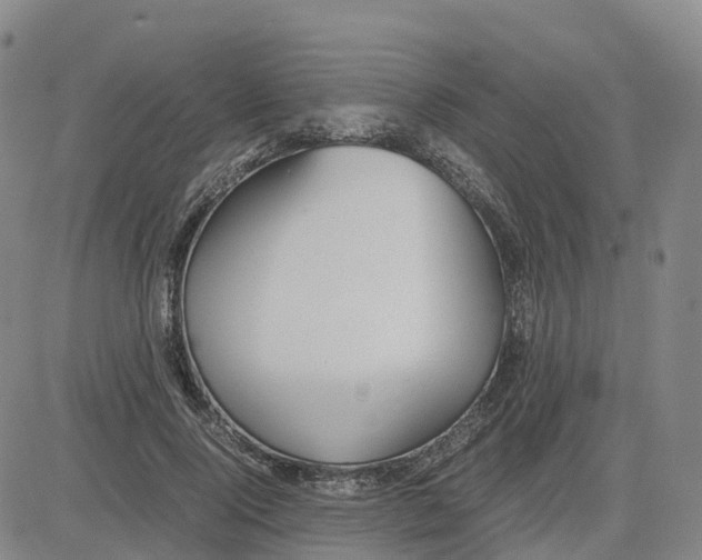 X0000083010740200702231812