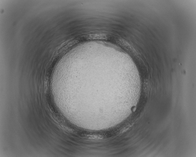 X0000083010741200702231812