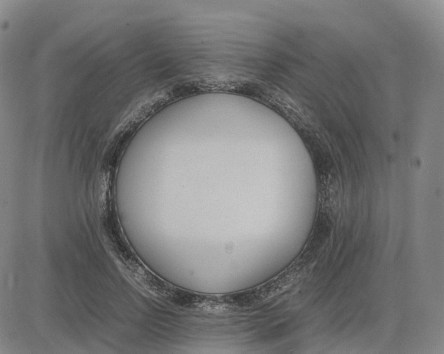 X0000083010742200702231812