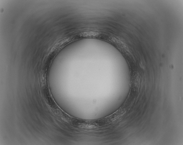 X0000083010743200702231812