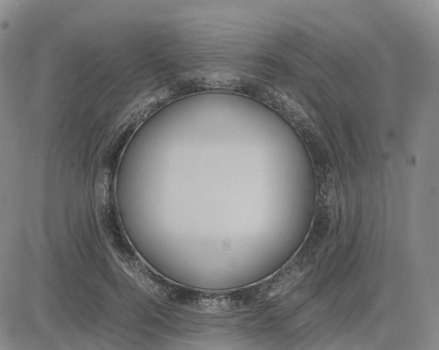 X0000083010744200702231812