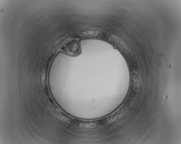 X0000083010745200702231812