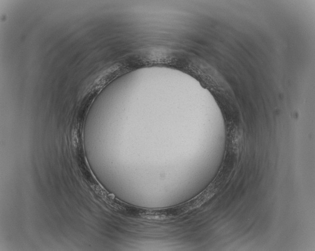 X0000083010746200702231812