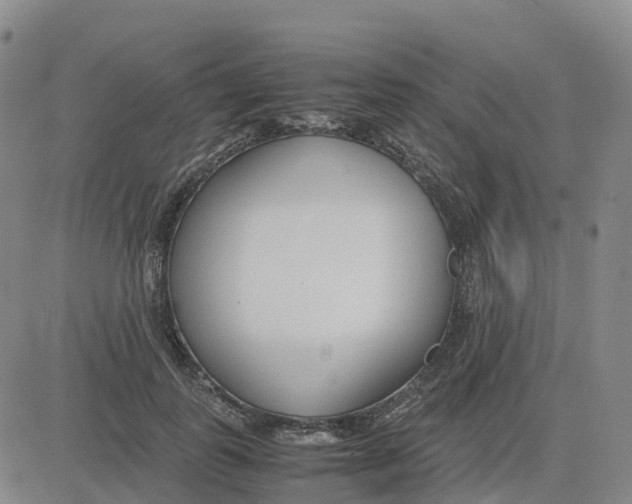 X0000083010747200702231812