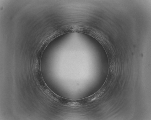 X0000083010748200702231812