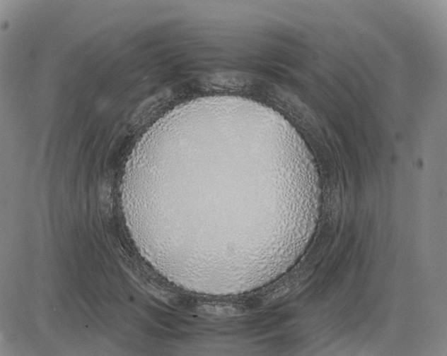 X0000083010749200702231812