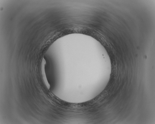 X0000083010750200702231812