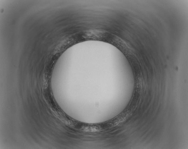 X0000083010751200702231812