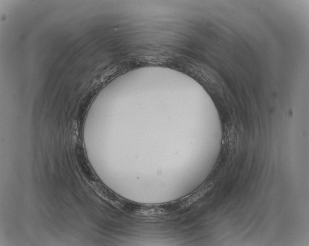 X0000083010752200702231812