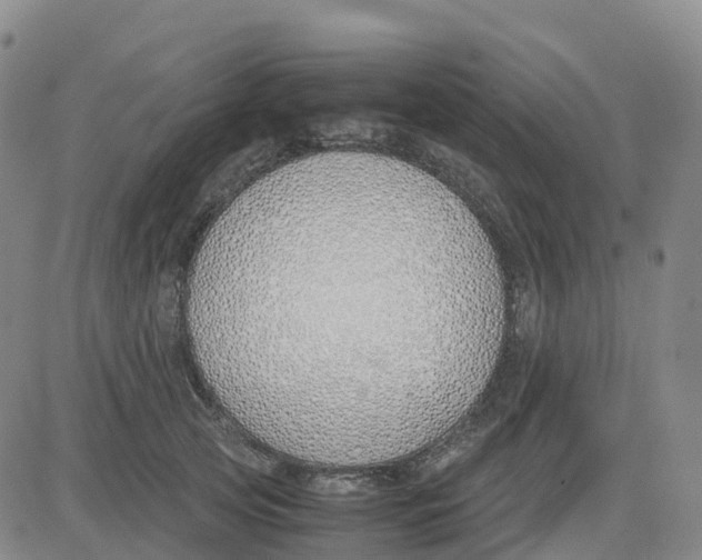 X0000083010753200702231812