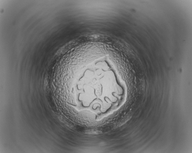 X0000083010754200702231812