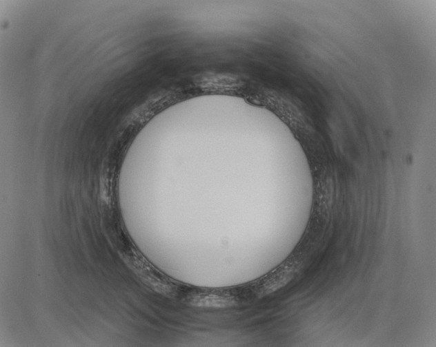 X0000083010755200702231812