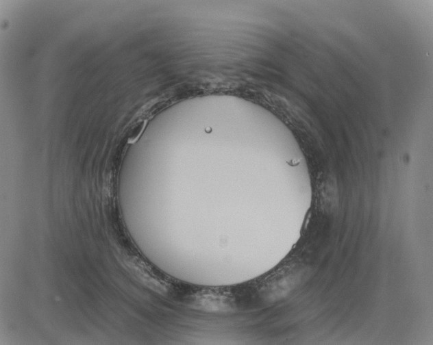 X0000083010756200702231812