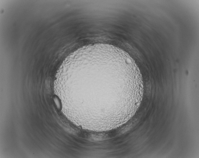 X0000083010757200702231812