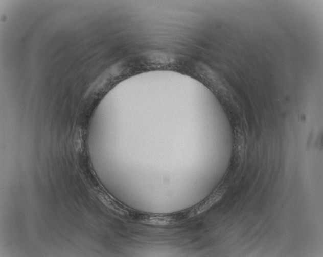 X0000083010758200702231812