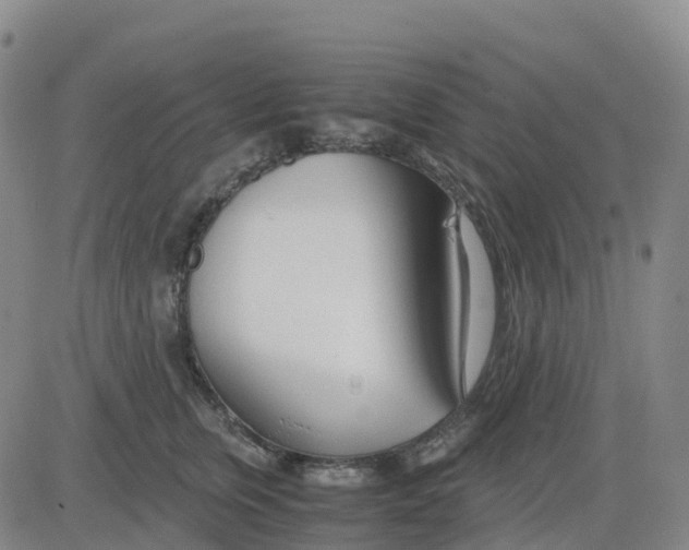 X0000083010759200702231812