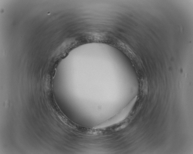 X0000083010760200702231812