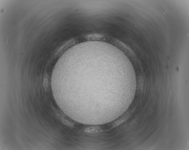 X0000083010761200702231812