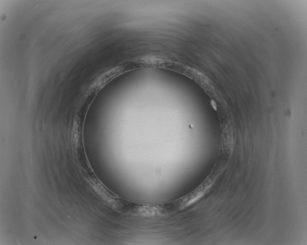 X0000083010762200702231812