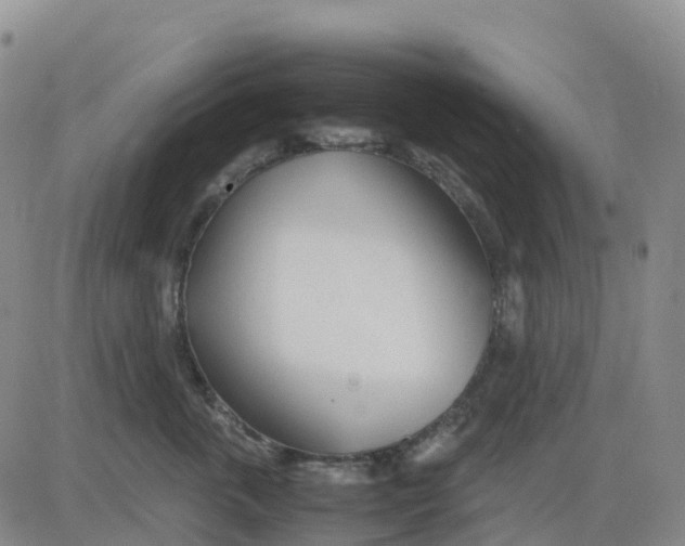 X0000083010763200702231812