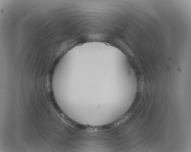 X0000083010764200702231812