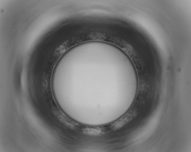 X0000083010765200702231812