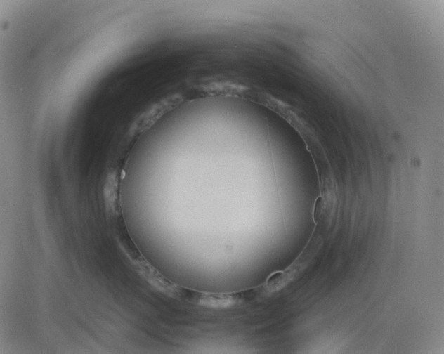 X0000083010767200702231812