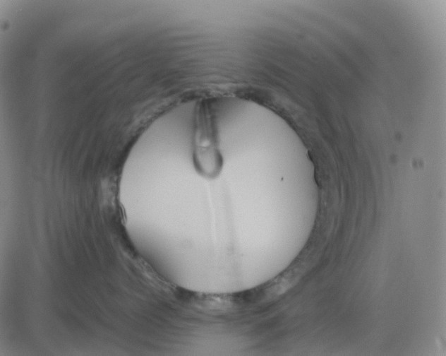 X0000083010768200702231812