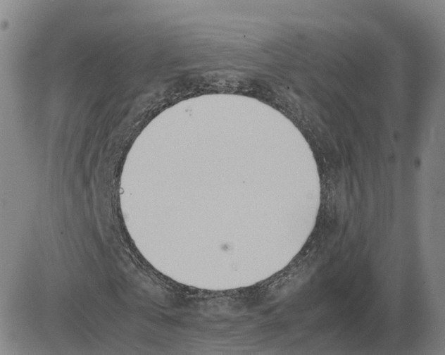 X0000083010769200702231811