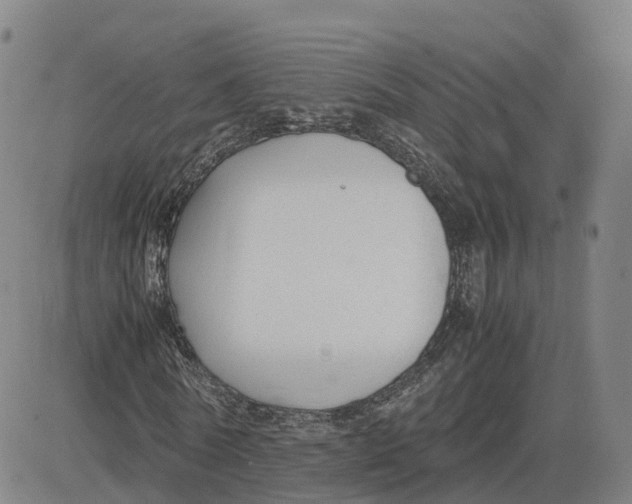 X0000083010770200702231811