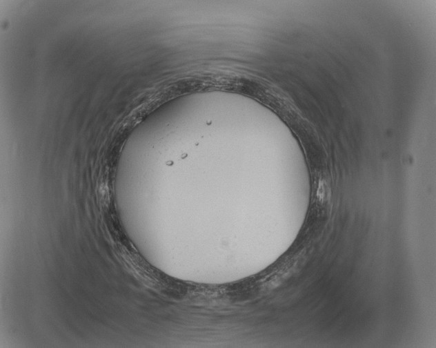 X0000083010771200702231811