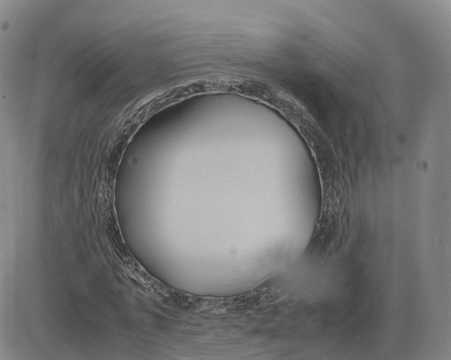 X0000083010773200702231811