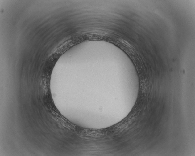 X0000083010774200702231811