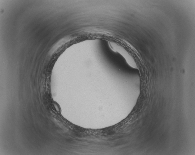 X0000083010775200702231811