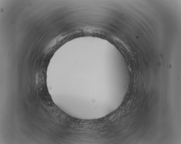 X0000083010776200702231811